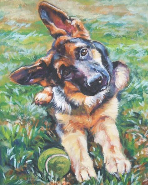 German Shepard