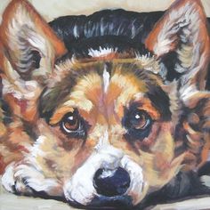 Corgi
